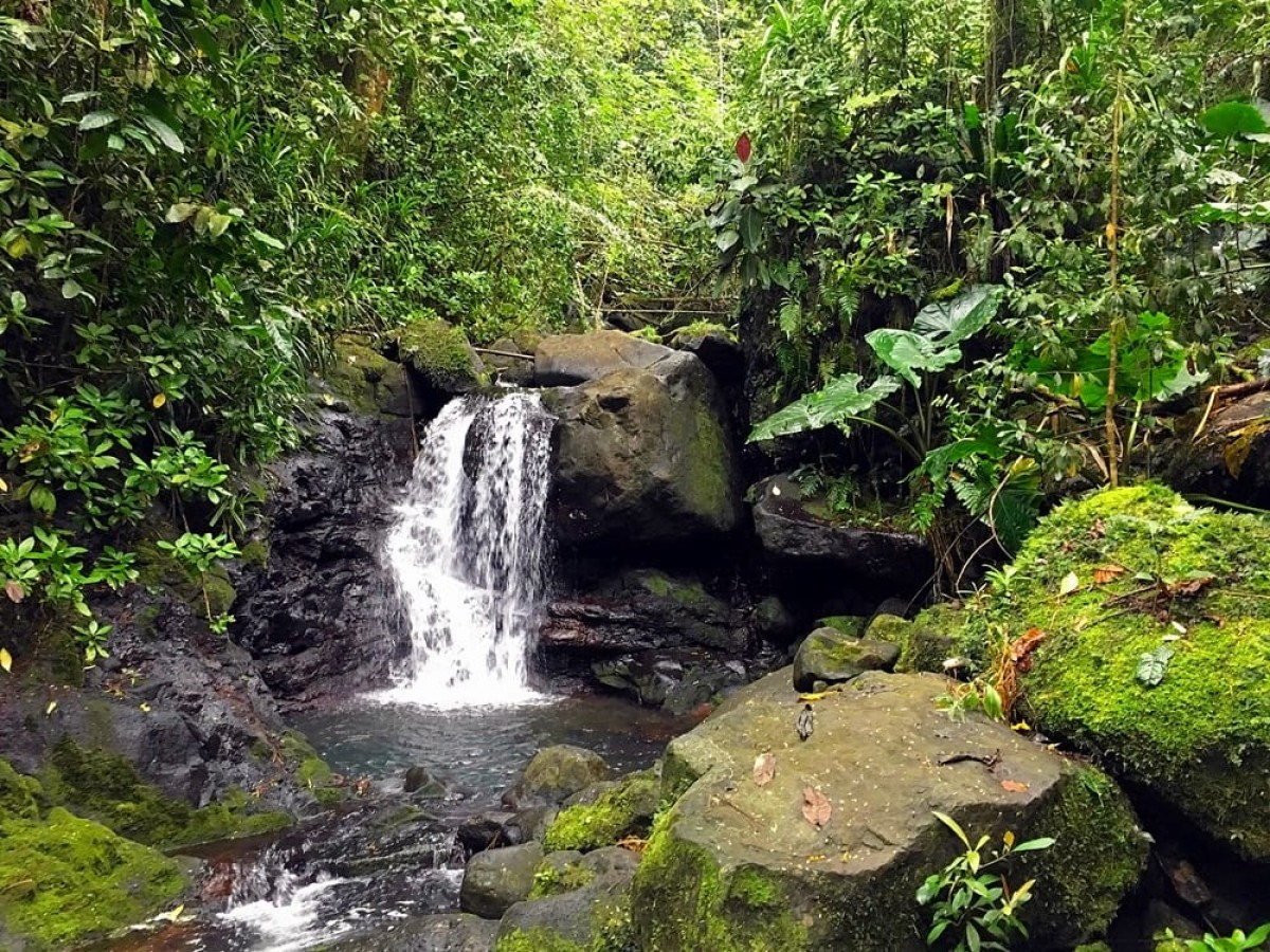 Les 3 Cascades du Domaine de Hamoa